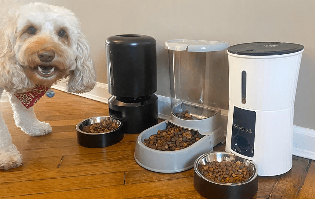 Best Smart Pet Feeder for Two Dogs With Different Portion Sizes