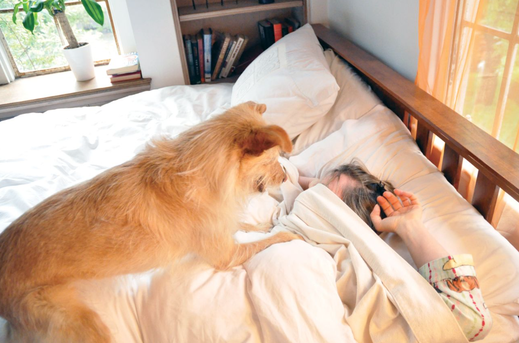 How to Calm an Anxious Dog at Home Naturally 8 Methods
