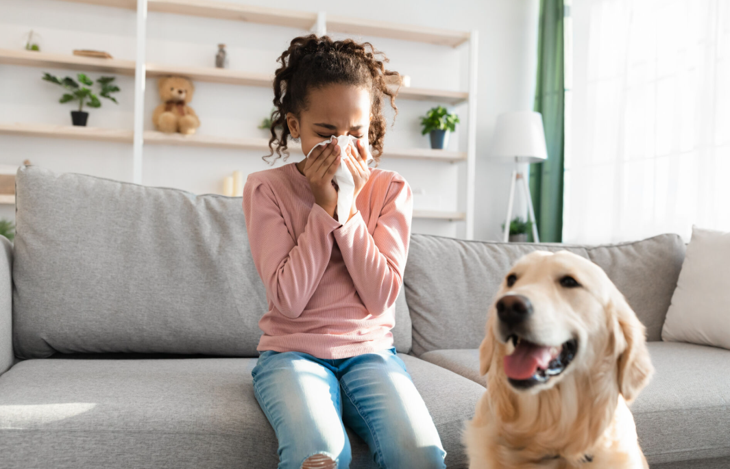 How to Get Rid of Pet Dander in Your House: A Complete Guide