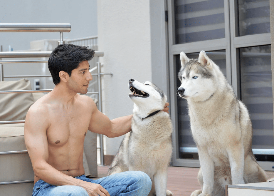 How to Keep a Husky Cool in Summer at Home (Practical Guide)