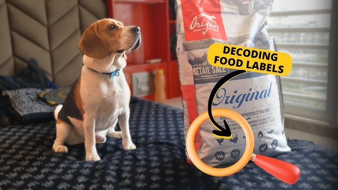 How to Read a Dog Food Ingredient Label What Actually Matters