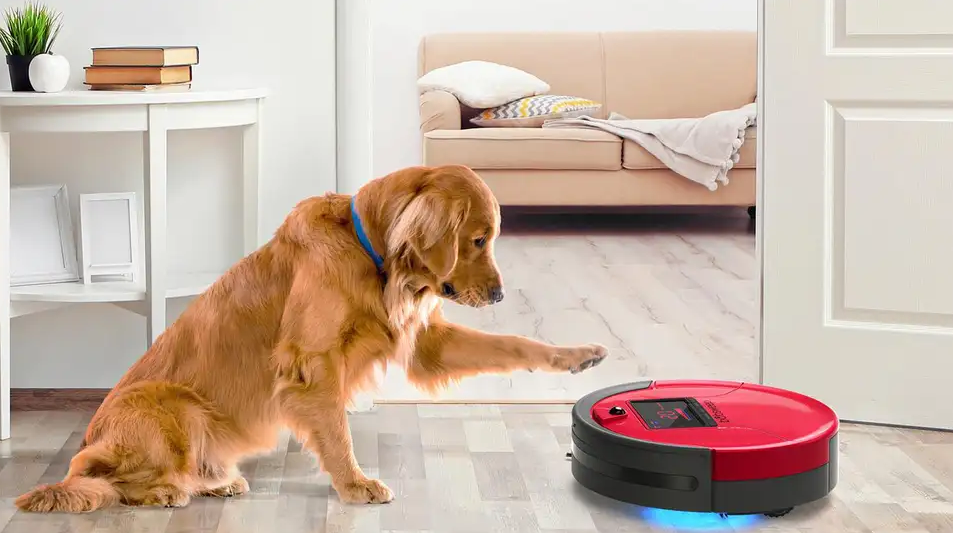 Robot Vacuum vs Regular Vacuum for Pet Hair: Which Is Better?