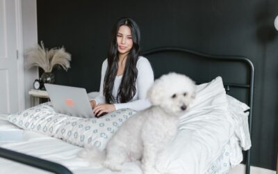 Where’s the Best Spot for a Dog Bed in Your Home Office?