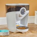 Do Automatic Cat Feeders Work for Wet Food?