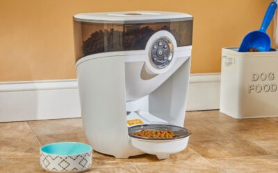 Do Automatic Cat Feeders Work for Wet Food?