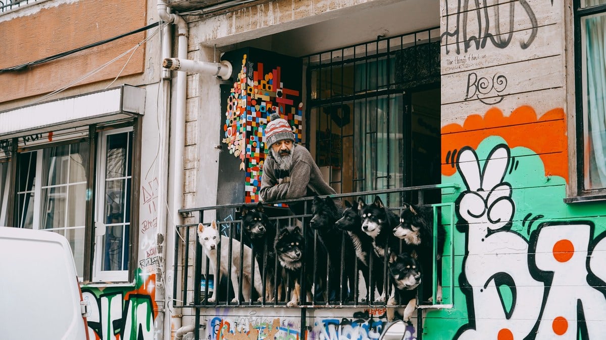 A dog on an apartment balcony.