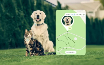 How Does a GPS Dog Tracker Work?