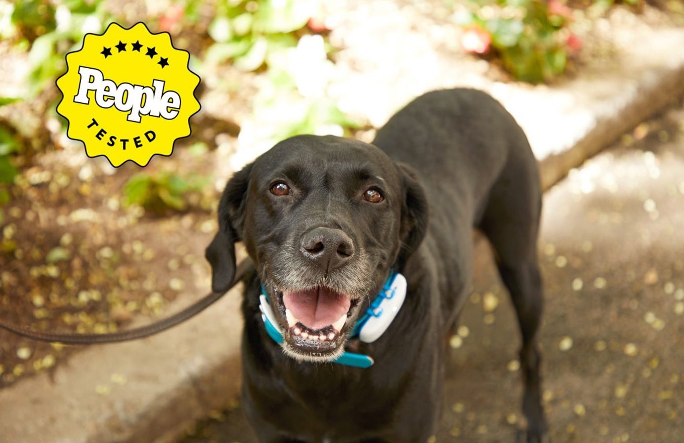 how does a gps dog tracker work