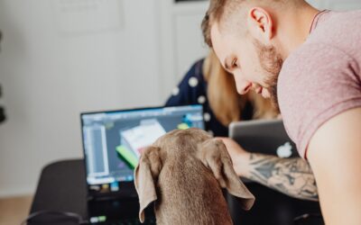 How to Keep Your Dog Calm During Work Calls (Home Office)