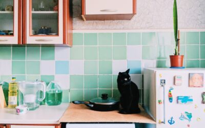 How to Stop Your Cat From Jumping on the Kitchen Counter